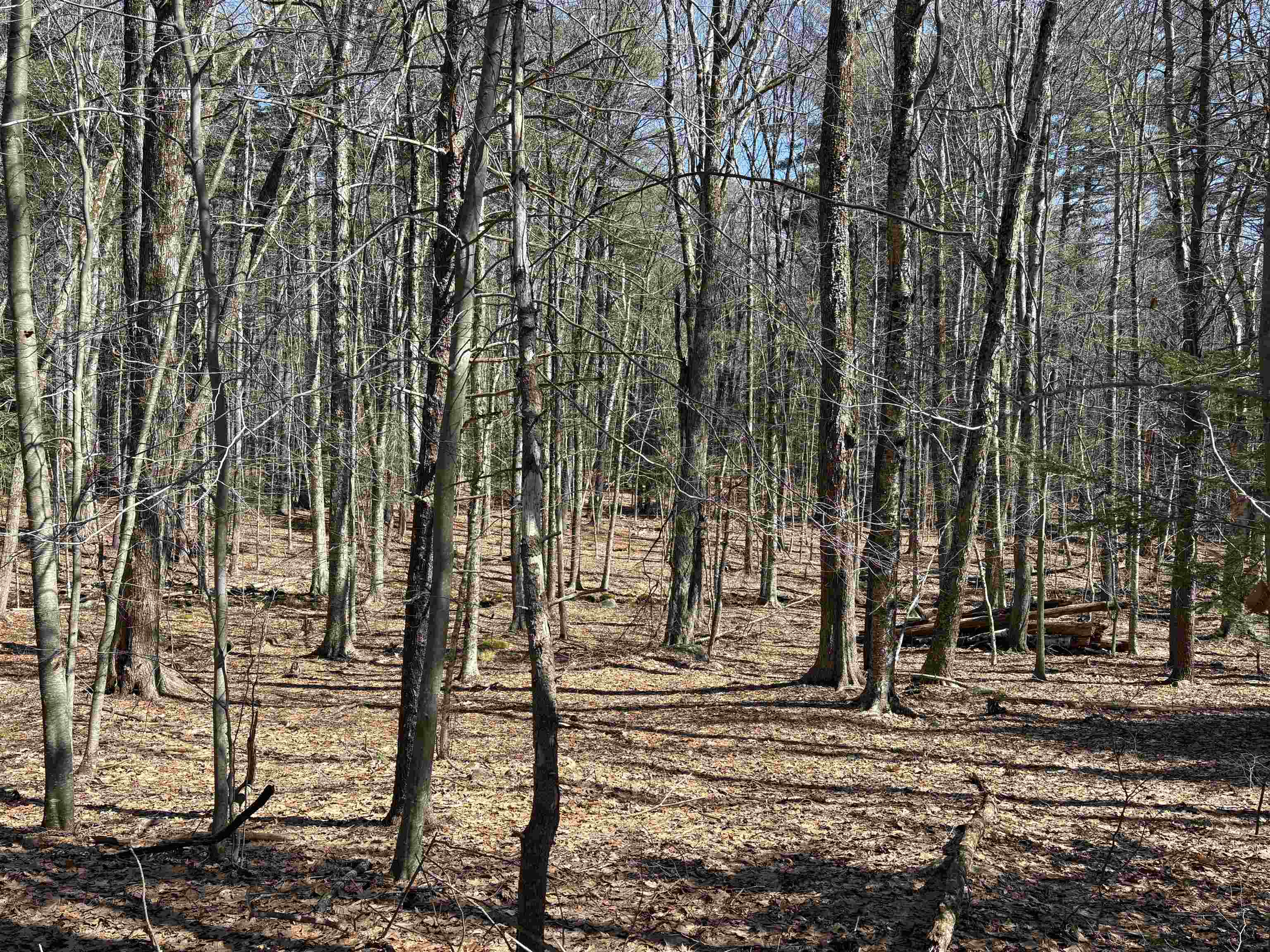 79-1 Currier Road Candia, NH 03034 - Photo 23 of 33