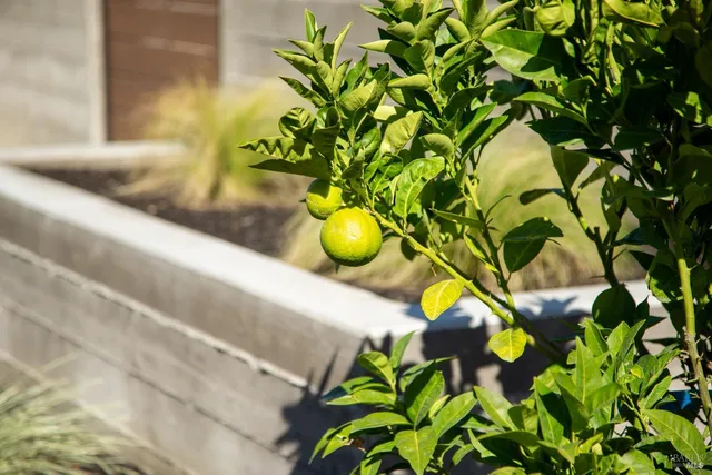 $3,995,000 | 208 Ursuline Road, Santa Rosa, CA 95403