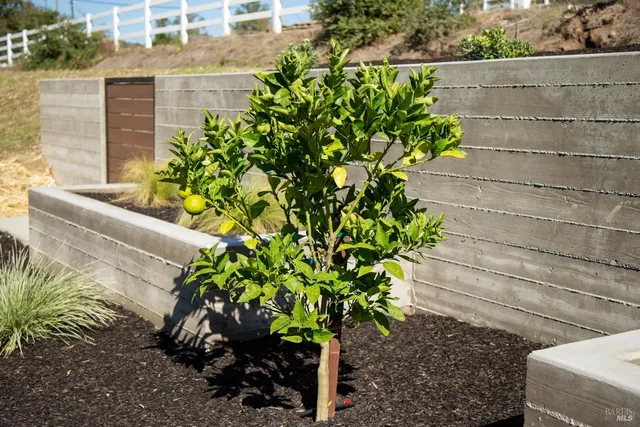 $3,995,000 | 208 Ursuline Road, Santa Rosa, CA 95403