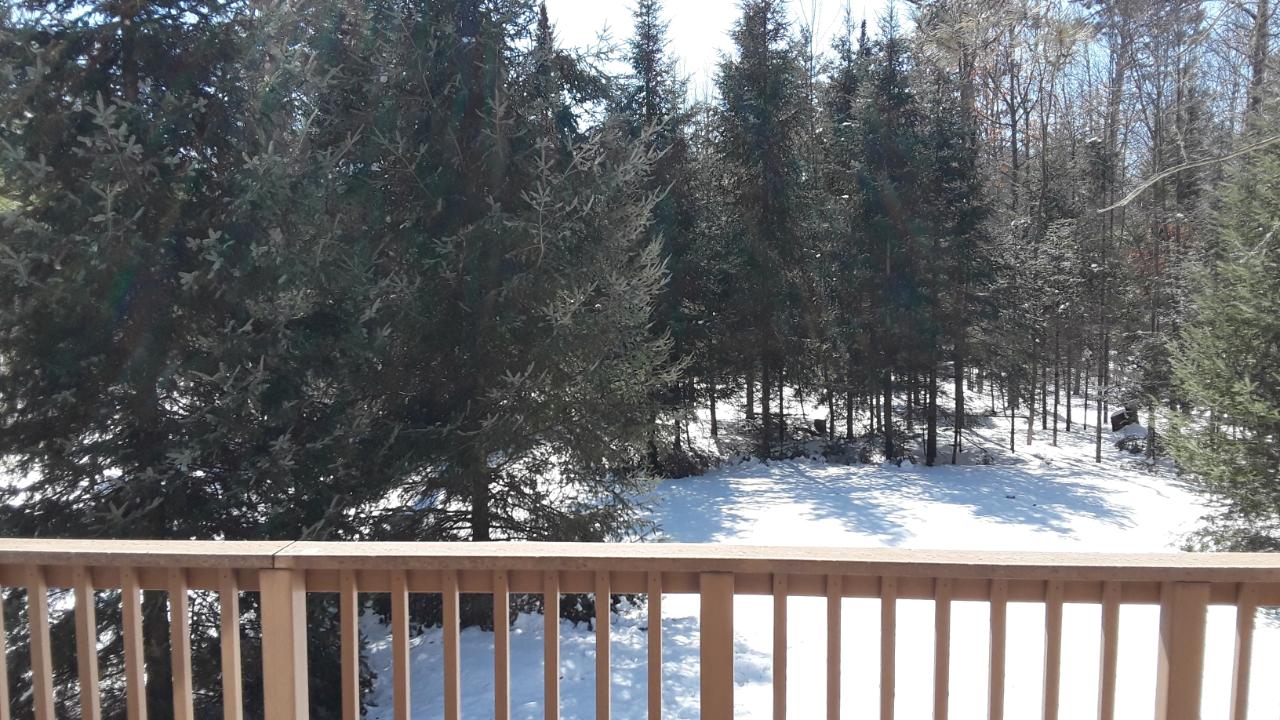 5664 Breezy Pine Road Rhinelander, WI 54501 - Photo 19 of 30 Gallery Image 19