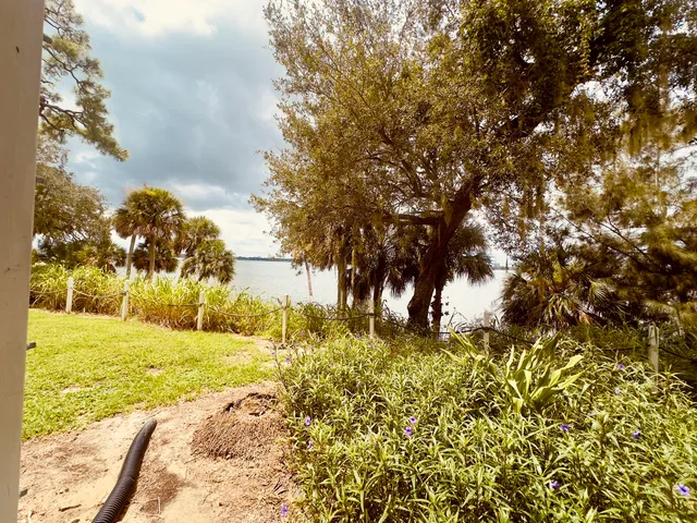 a view of beach with large trees