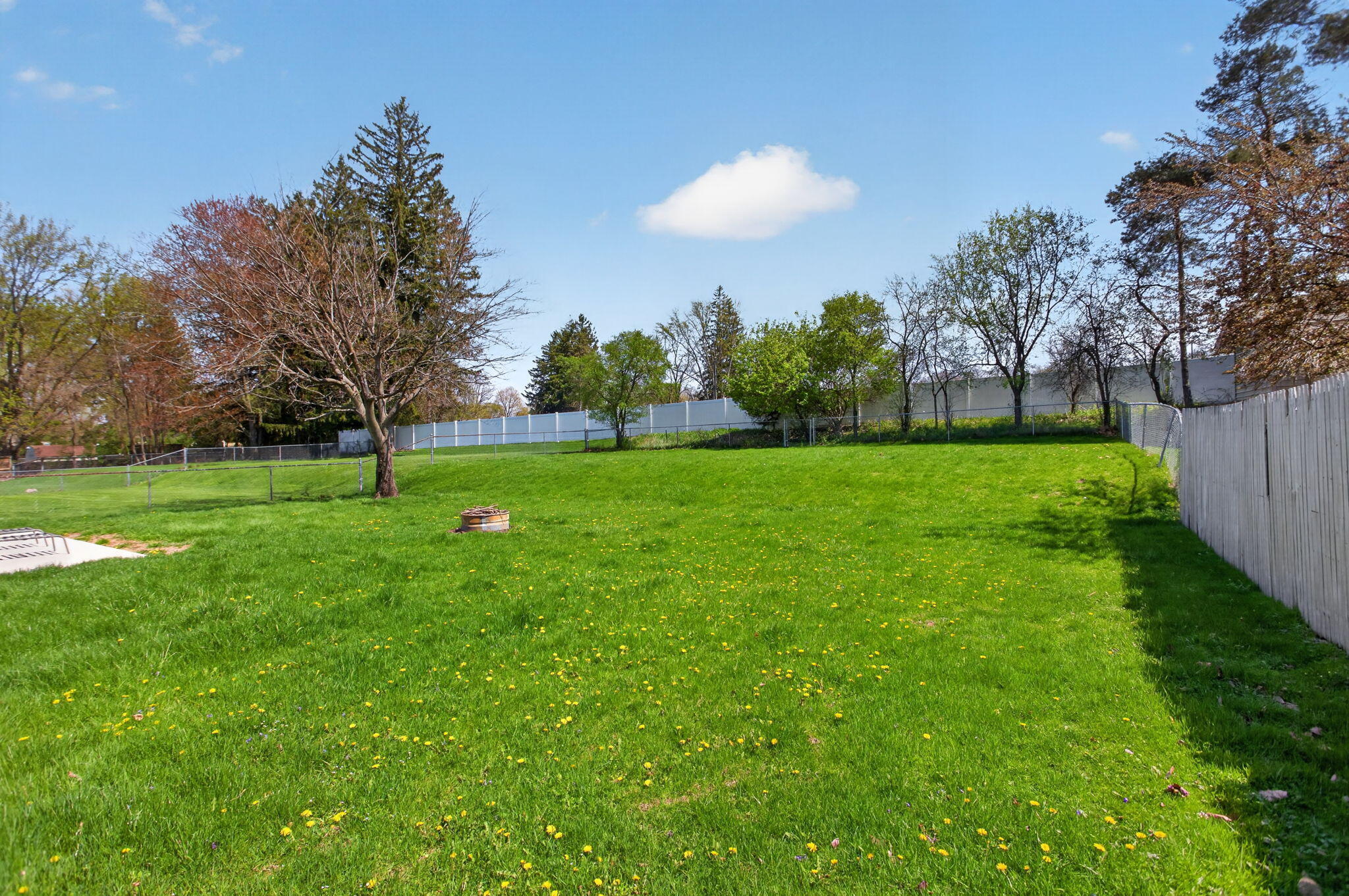 2325 Maple Drive Jackson, MI 49203 - Photo 43 of 50 12-web-or-mls-0N0A4942