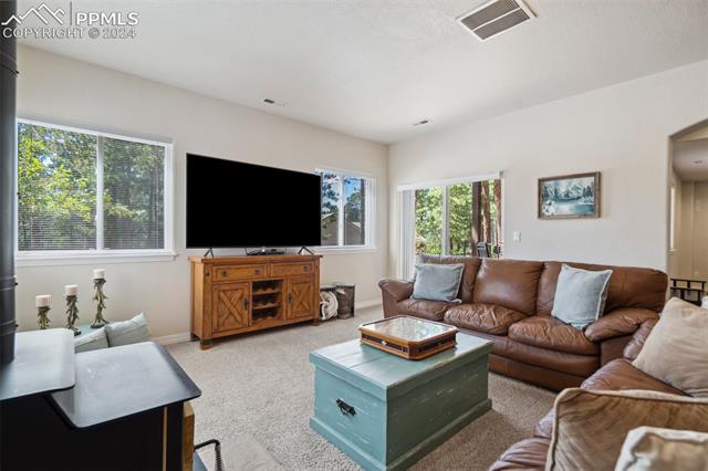 15580 Falcon Ridge Court Colorado Springs, CO 80921 - Photo 38 of 49 Gallery Image 38