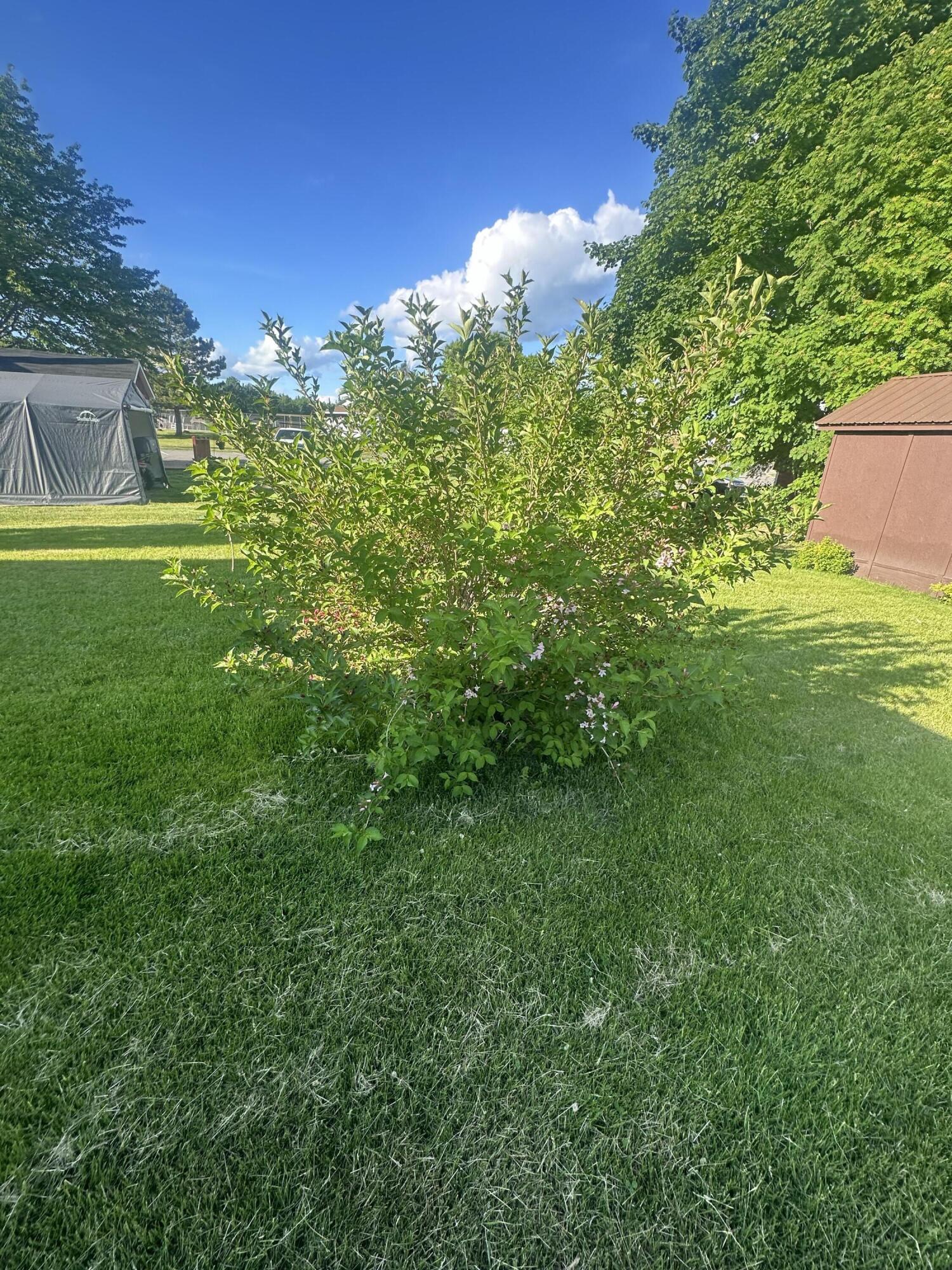 49 Birch Street East Millinocket, ME 04430 - Photo 33 of 34 A6990AF2-D202-47E8-8320-77189D8343F6