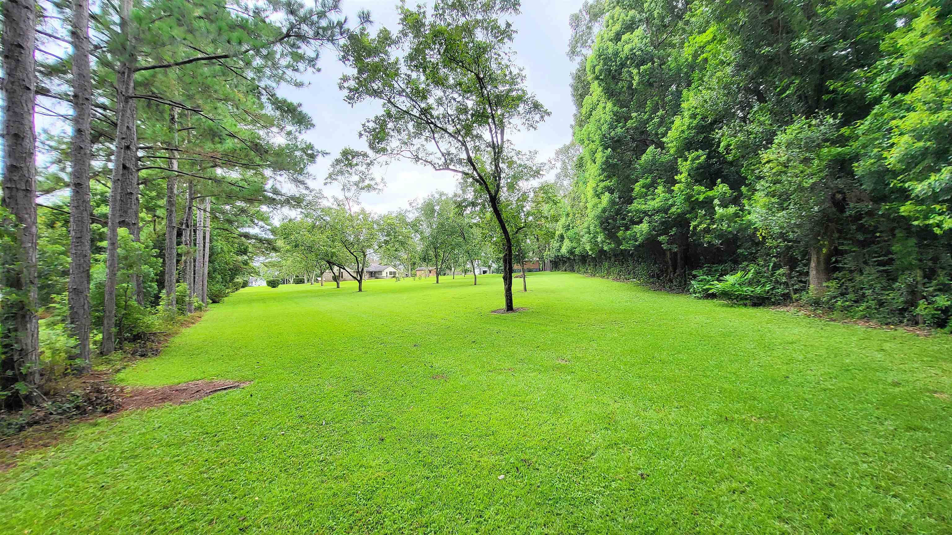11523 Lisa Court Fairhope, AL 36532 - Photo 7 of 28