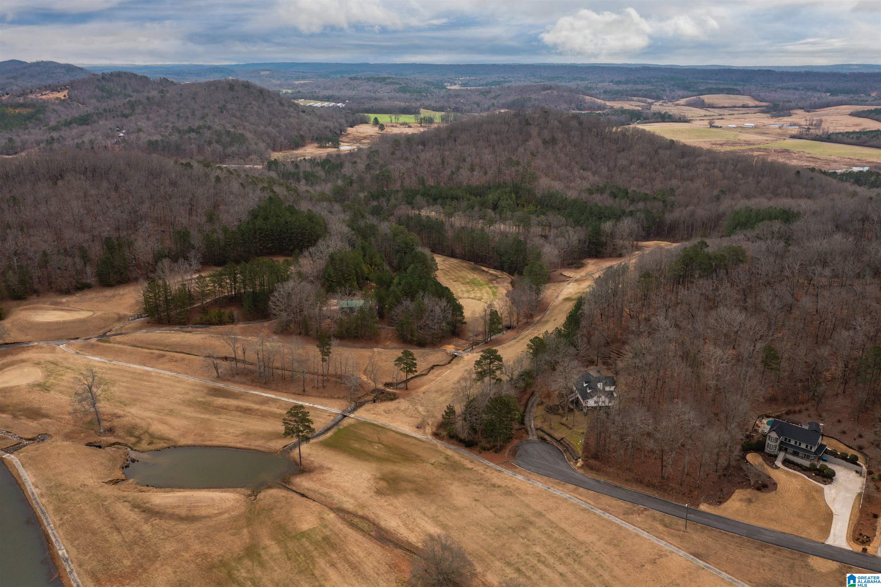 1 Heritage Road Oneonta, AL 35121 - Photo 71 of 74