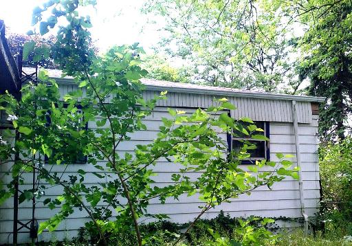18836 Wolf Road Mokena, IL 60448 - Photo 4 of 7