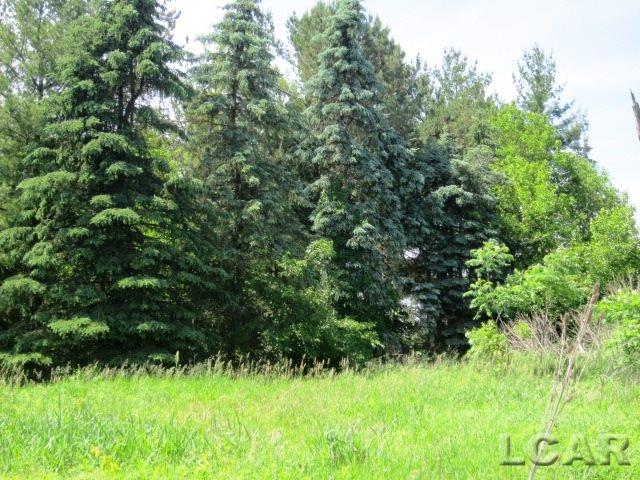 14751 Prattville Road Hudson, MI 49247 - Photo 4 of 6