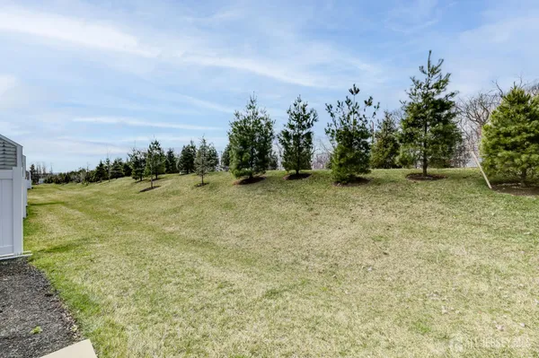 a view of a field with trees in the background