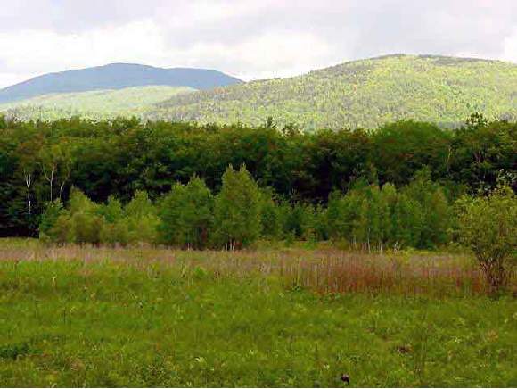 0 Meadow Road Shelburne, NH 03581 - Photo 1 of 1 Gallery Image 1