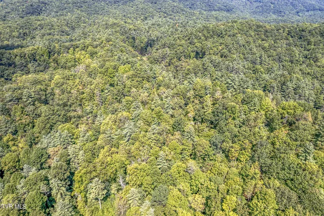 $468,600 | Tbd Waters Road, Laurel Bloomery, TN 37680