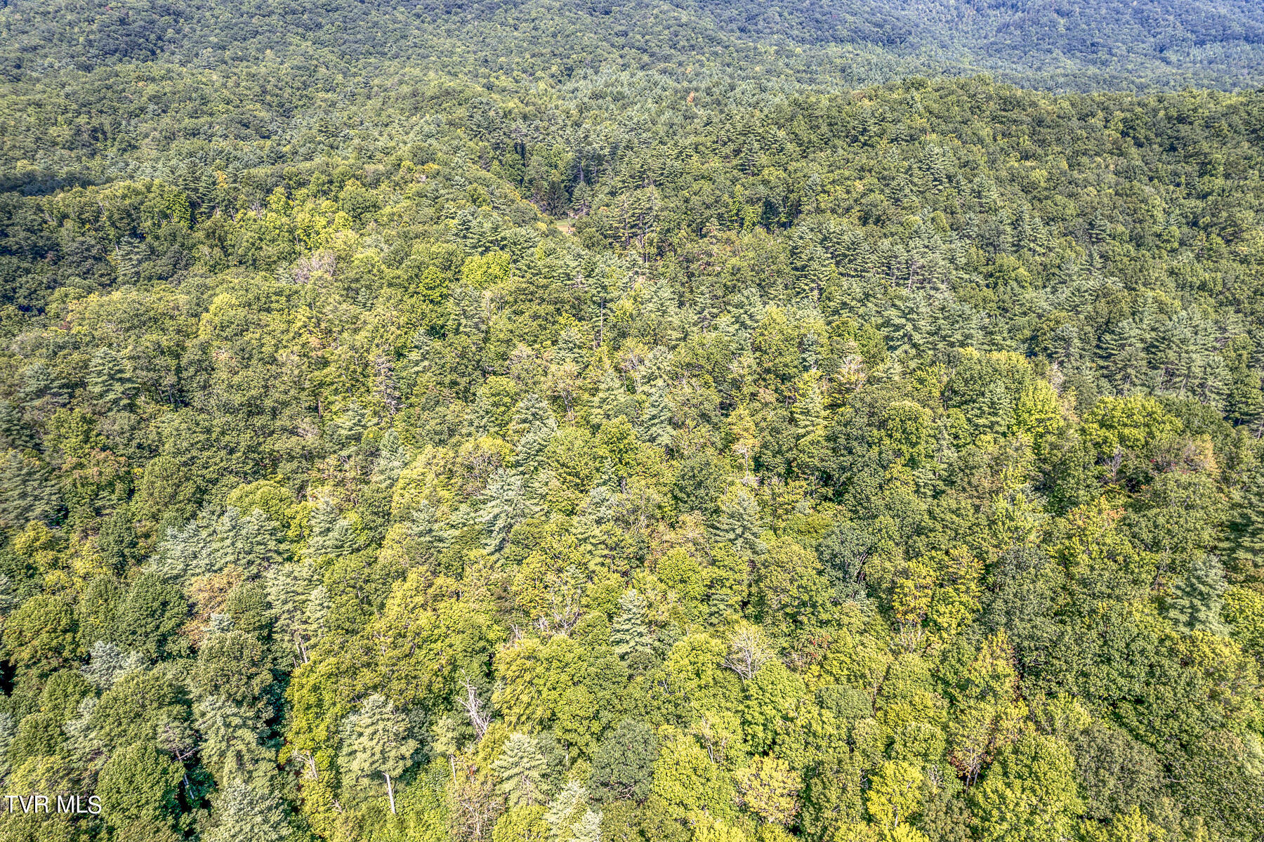Tbd Waters Road Laurel Bloomery, TN 37680 - Photo 18 of 41 TBD Waters Branch Rd Aerial-13