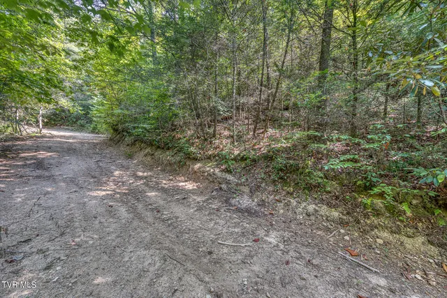 $468,600 | Tbd Waters Road, Laurel Bloomery, TN 37680