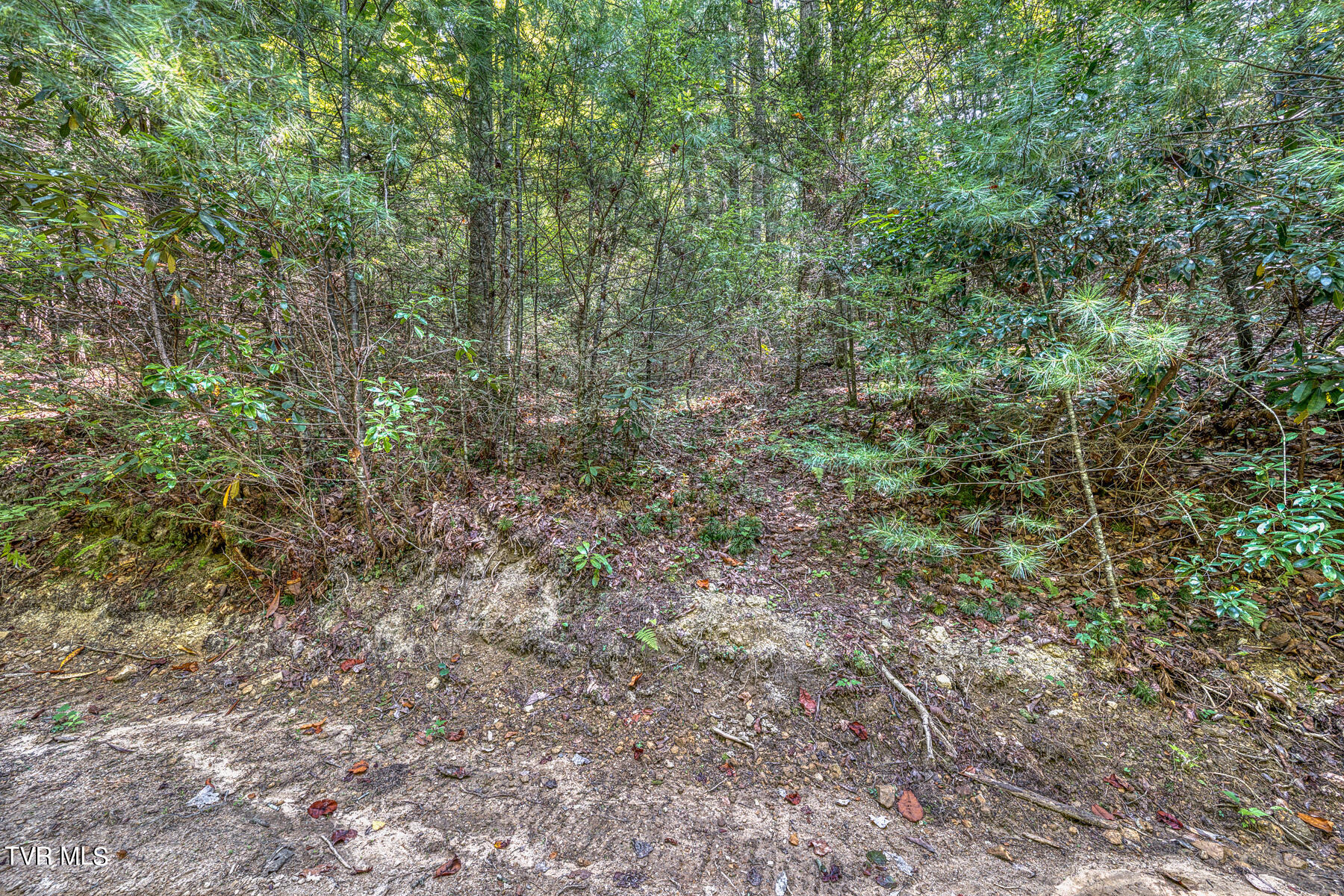 Tbd Waters Road Laurel Bloomery, TN 37680 - Photo 26 of 41 TBD Waters Branch RD Tract 1-4