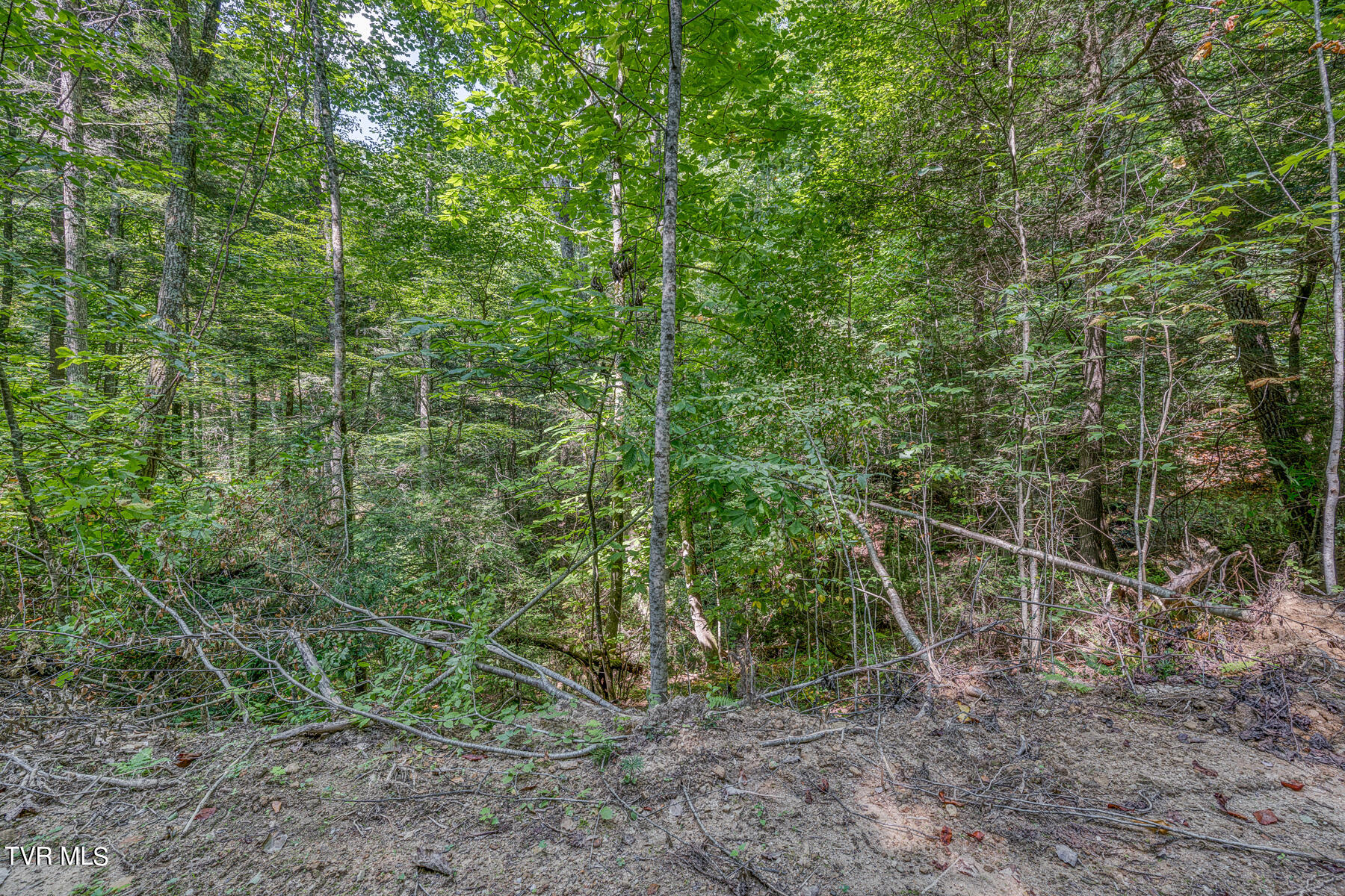 Tbd Waters Road Laurel Bloomery, TN 37680 - Photo 27 of 41 TBD Waters Branch RD Tract 1-5