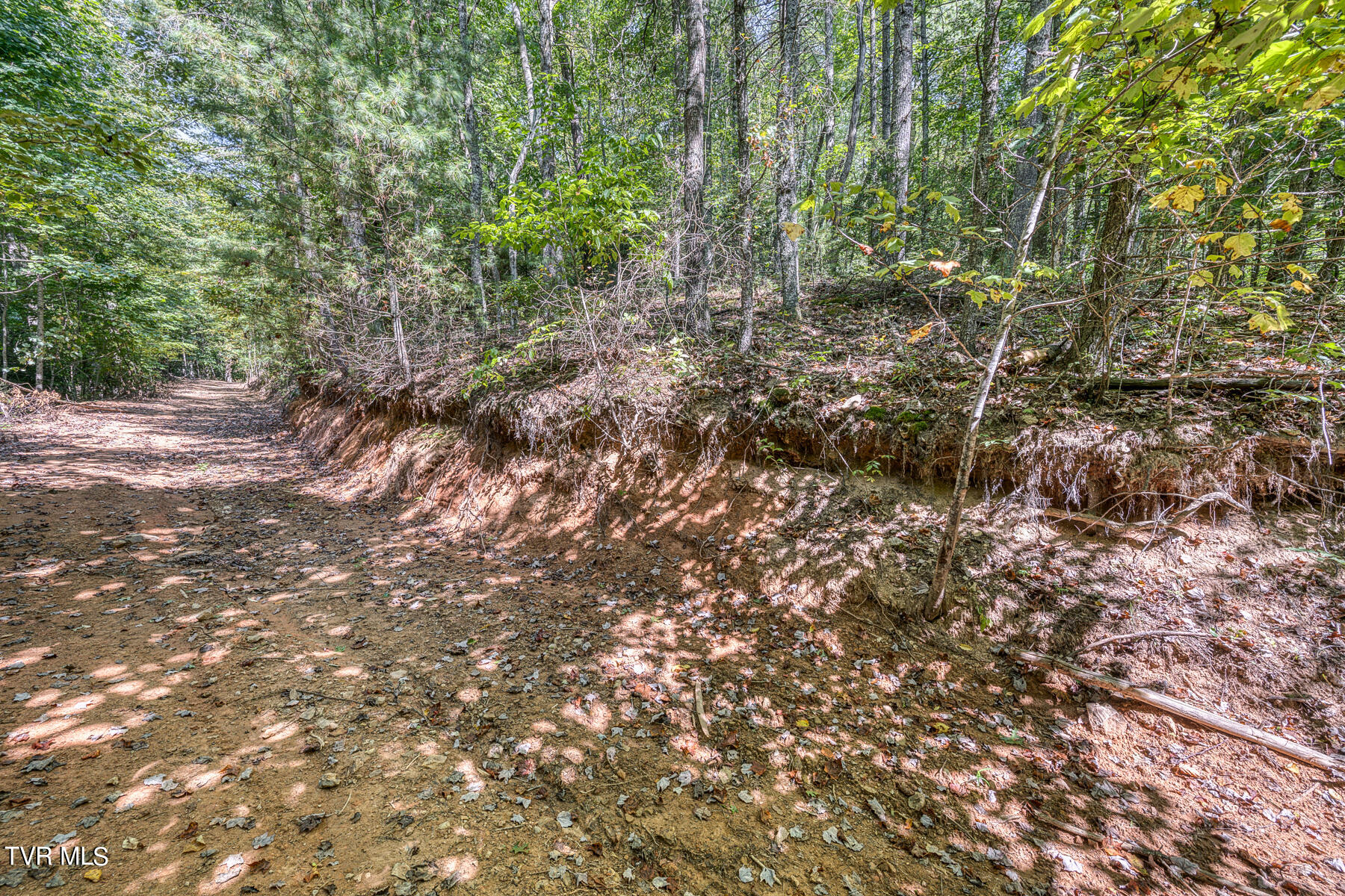 Tbd Waters Road Laurel Bloomery, TN 37680 - Photo 28 of 41 TBD Waters Branch RD Tract 1-6