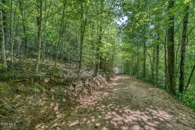 $468,600 | Tbd Waters Road, Laurel Bloomery, TN 37680