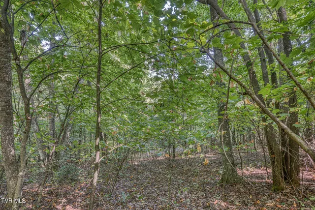 $468,600 | Tbd Waters Road, Laurel Bloomery, TN 37680