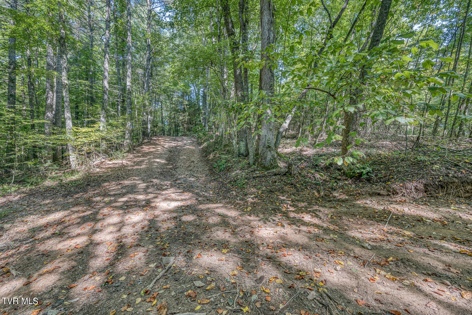 Tbd Waters Road Laurel Bloomery, TN 37680 - Photo 37 of 41 TBD Waters Branch RD Tract 2-3
