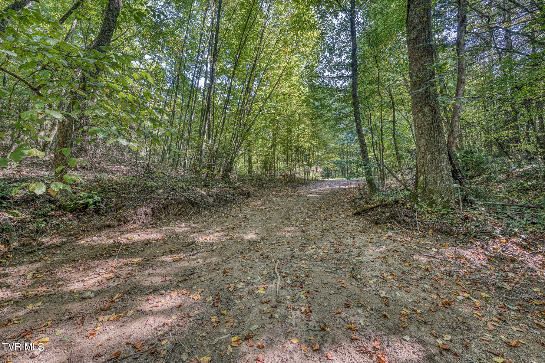 Tbd Waters Road Laurel Bloomery, TN 37680 - Photo 38 of 41 TBD Waters Branch RD Tract 2-4
