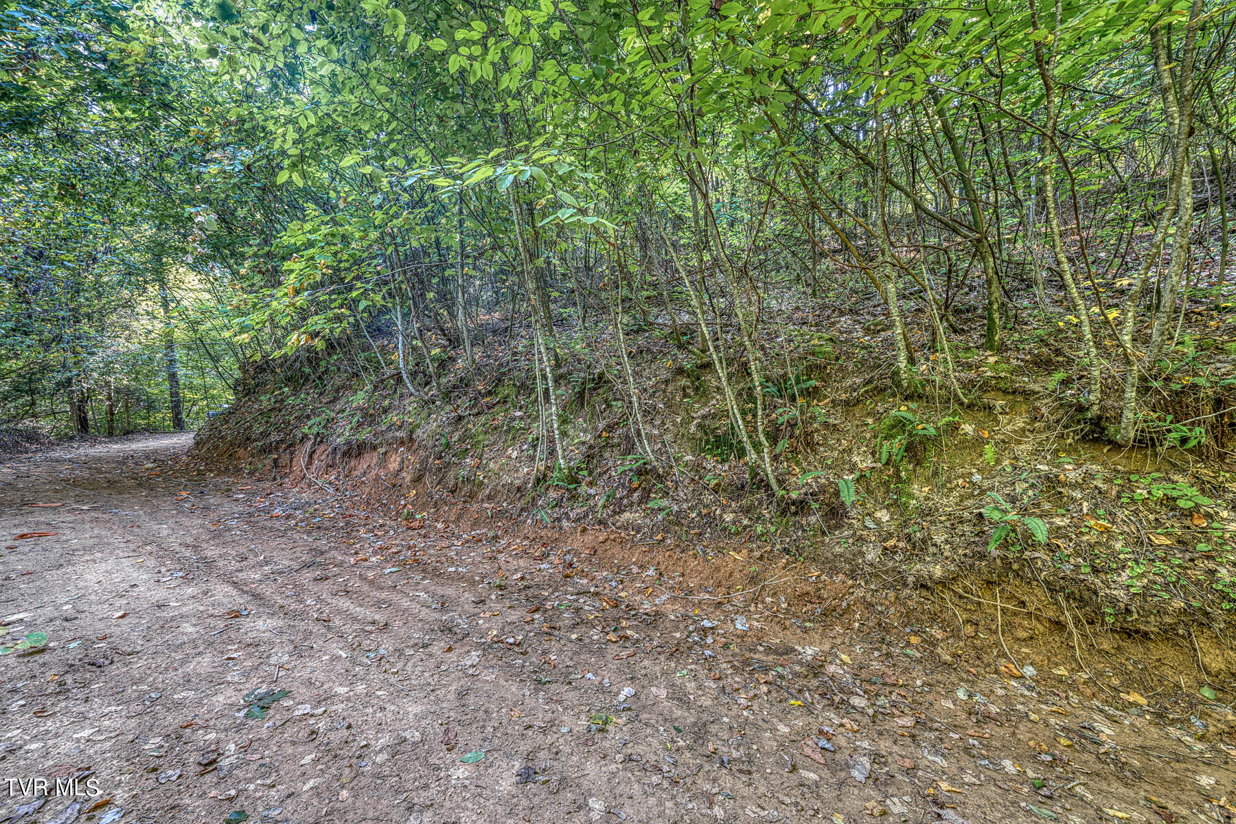 Tbd Waters Road Laurel Bloomery, TN 37680 - Photo 39 of 41 TBD Waters Branch RD Tract 2-5