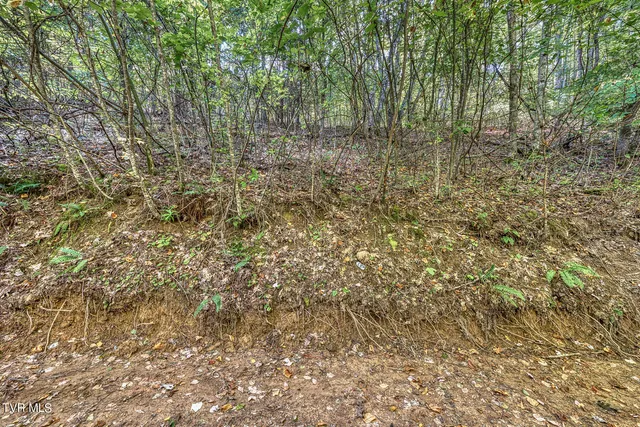 $468,600 | Tbd Waters Road, Laurel Bloomery, TN 37680