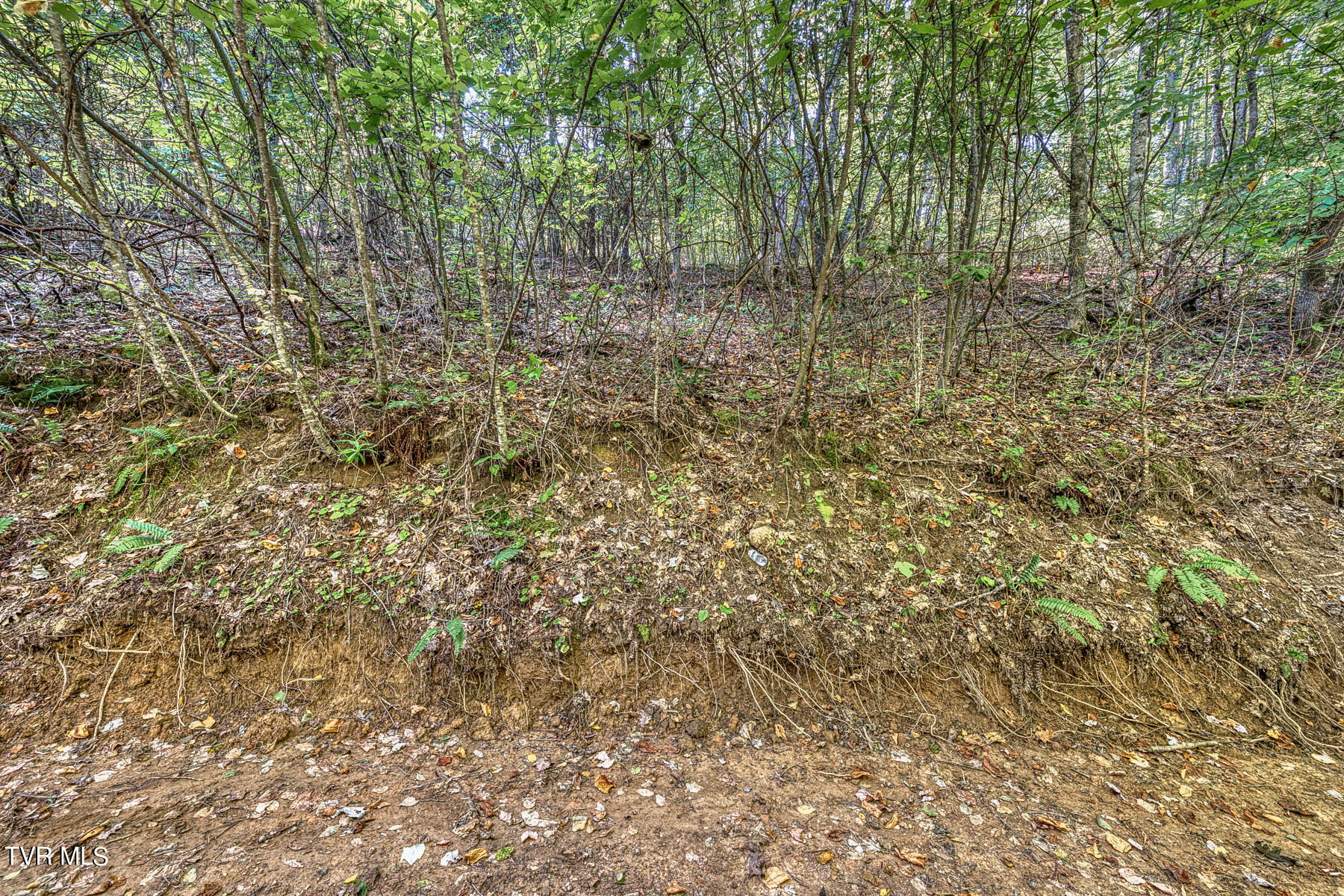 Tbd Waters Road Laurel Bloomery, TN 37680 - Photo 40 of 41 TBD Waters Branch RD Tract 2-6