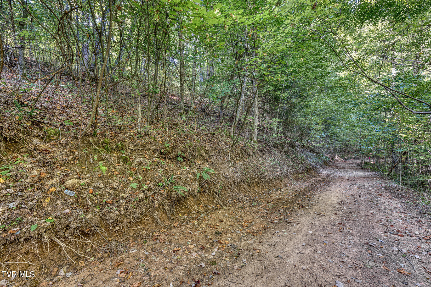 Tbd Waters Road Laurel Bloomery, TN 37680 - Photo 41 of 41 TBD Waters Branch RD Tract 2-7