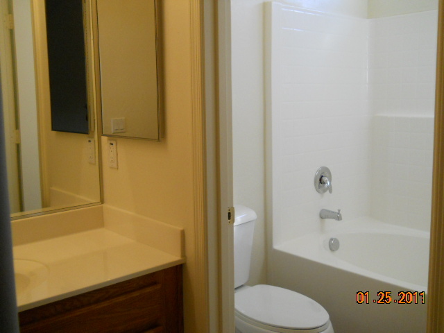 8519 West Payson Road Tolleson, AZ 85353 - Photo 12 of 19 Bath