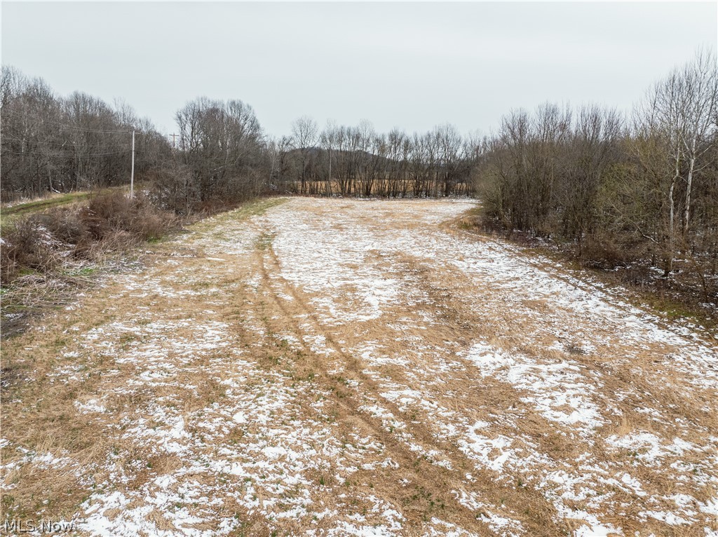 0 Raiders Road Frazeysburg, OH 43822 - Photo 1 of 22 View of road with a forest view