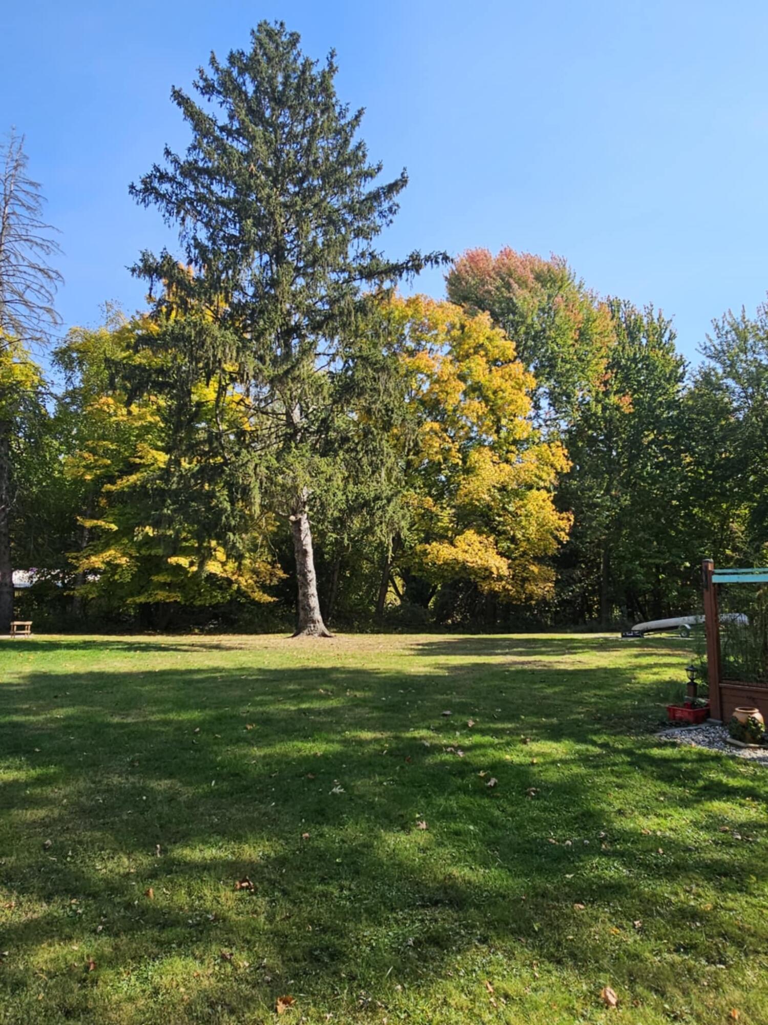 7910 Forest Beach Road Watervliet, MI 49098 - Photo 54 of 103 IMG_6271