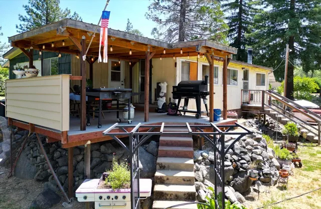 a bunch of flowers are in a garden