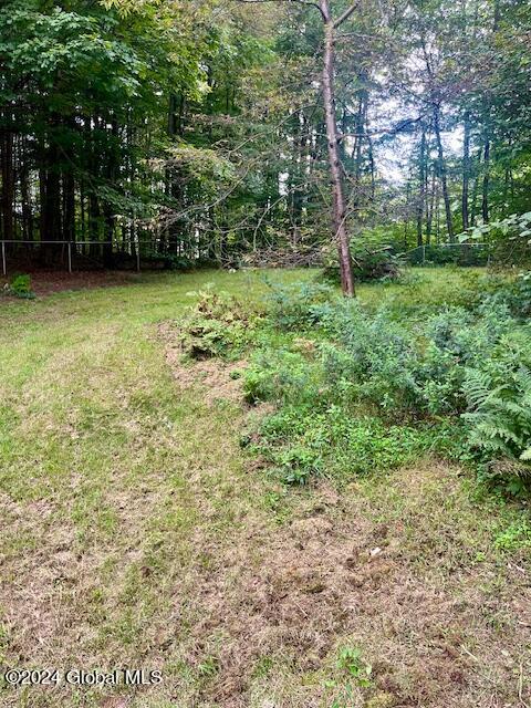 173 Lake Desolation Road Middle Grove, NY 12850 - Photo 23 of 24 IMG_6366