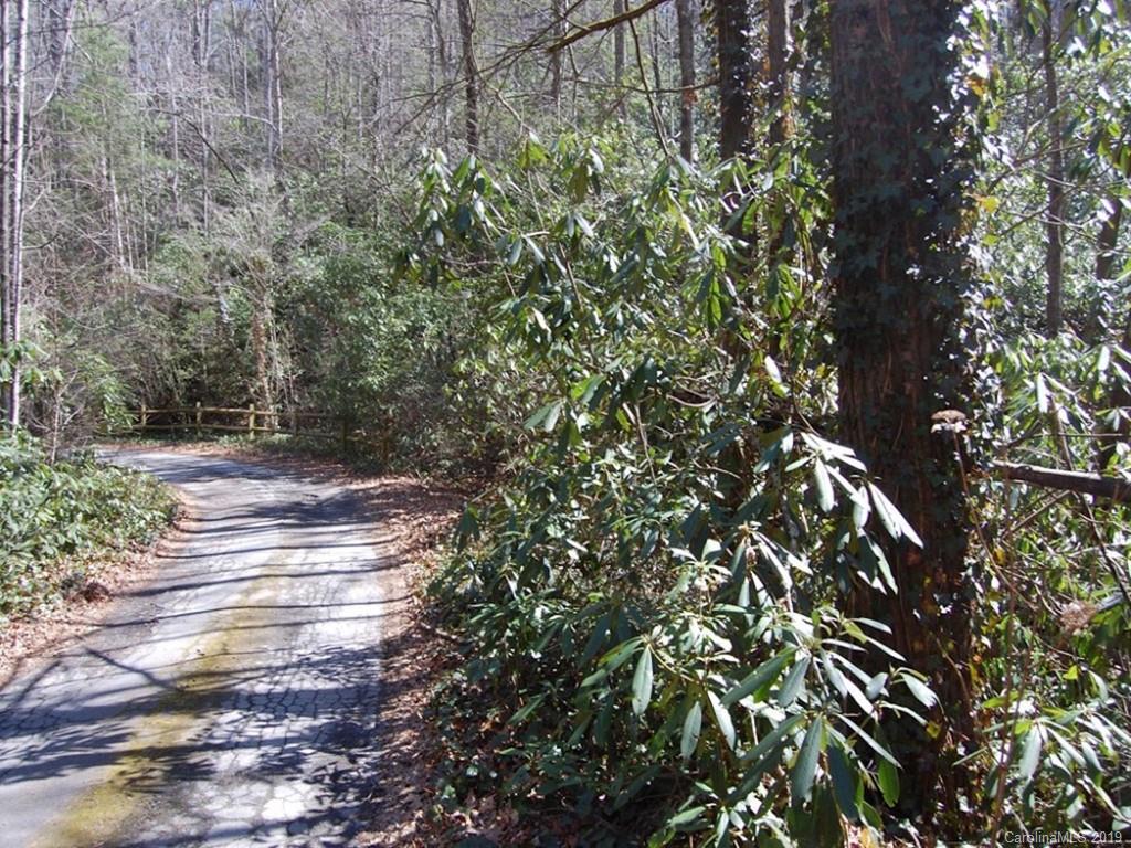 6-34 & 35 Timber Run Road Hendersonville, NC 28739 - Photo 1 of 12