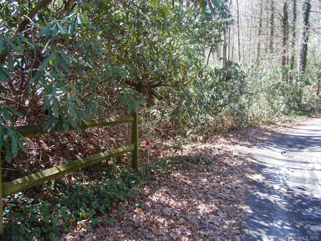 6-34 & 35 Timber Run Road Hendersonville, NC 28739 - Photo 3 of 12