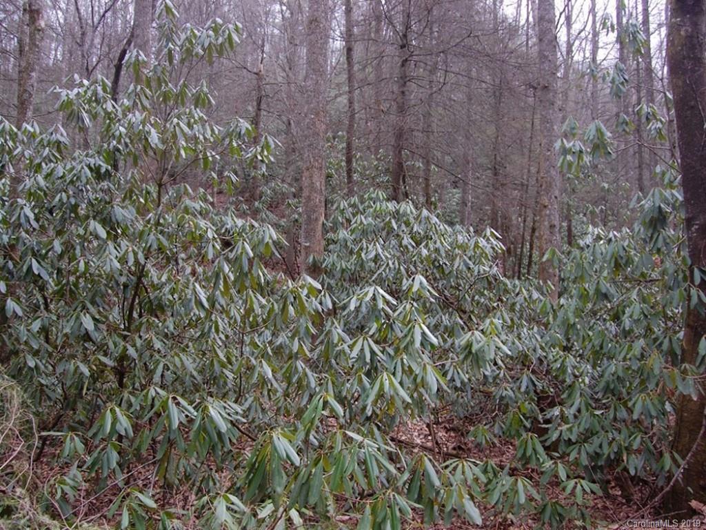 6-34 & 35 Timber Run Road Hendersonville, NC 28739 - Photo 8 of 12