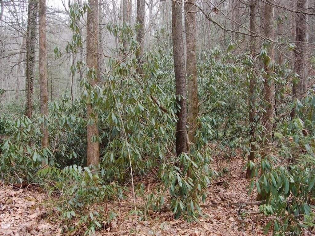 6-34 & 35 Timber Run Road Hendersonville, NC 28739 - Photo 9 of 12