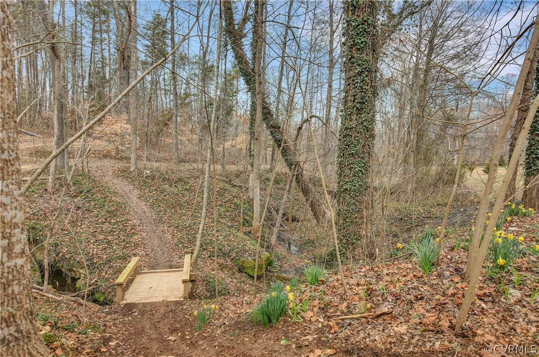 701 Clement Town Road Powhatan, VA 23139 - Photo 36 of 38 Incredible Outdoor Space! This Land Is Beautiful!