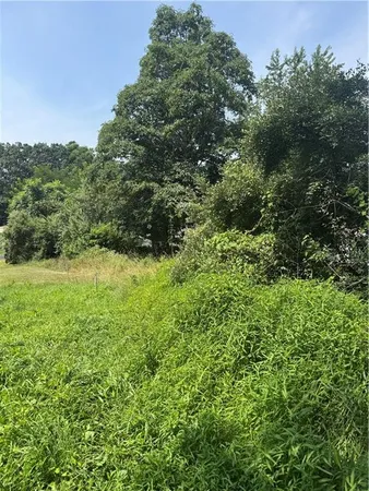 a view of a green field with lots of bushes