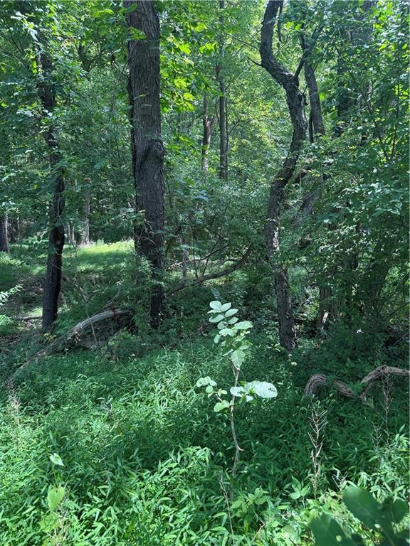 461 Marshall Heights Road Blairsville, PA 15717 - Photo 5 of 5 a view of a forest with trees
