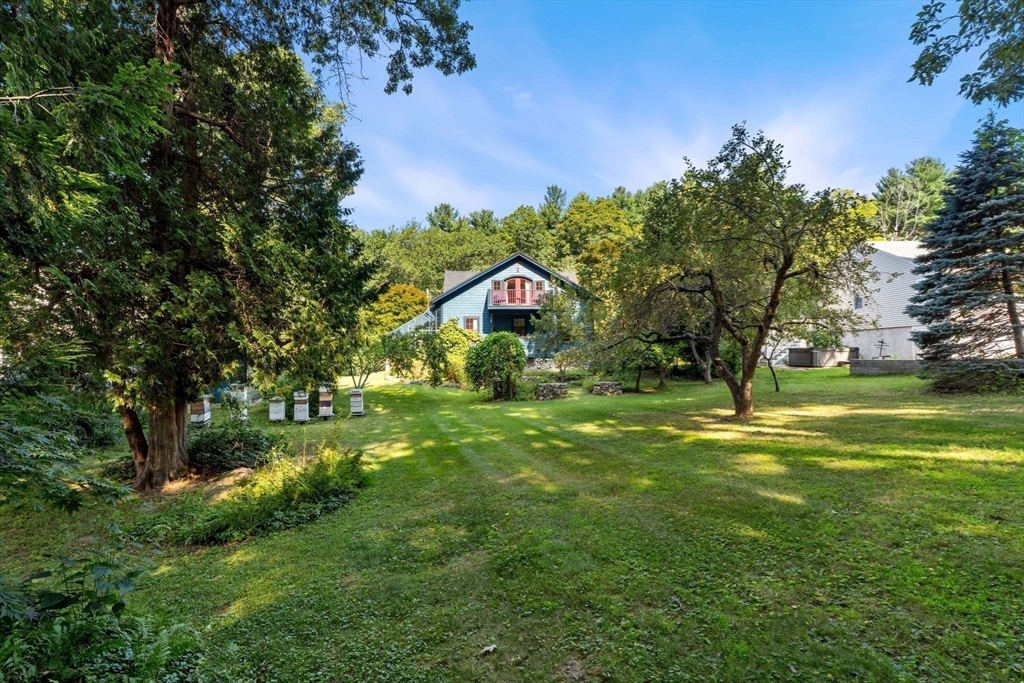 177 Highland Road Andover, MA 01810 - Photo 33 of 37 a view of a park with large trees