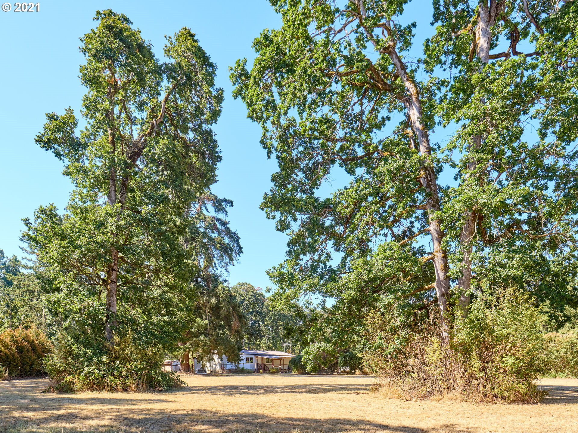 14550 South Vaughan Road Molalla, OR 97038 - Photo 1 of 32 Gallery Image 1