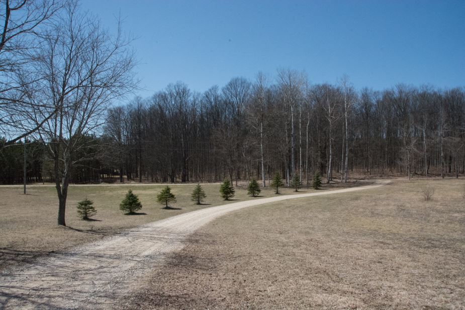 9455 Crouch Road Southeast Fife Lake, MI 49633 - Photo 47 of 47 1845674-46.JPG