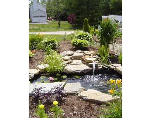 161 Rice Corner Road Brookfield, MA 01506 - Photo 6 of 28 a view of a garden with plants