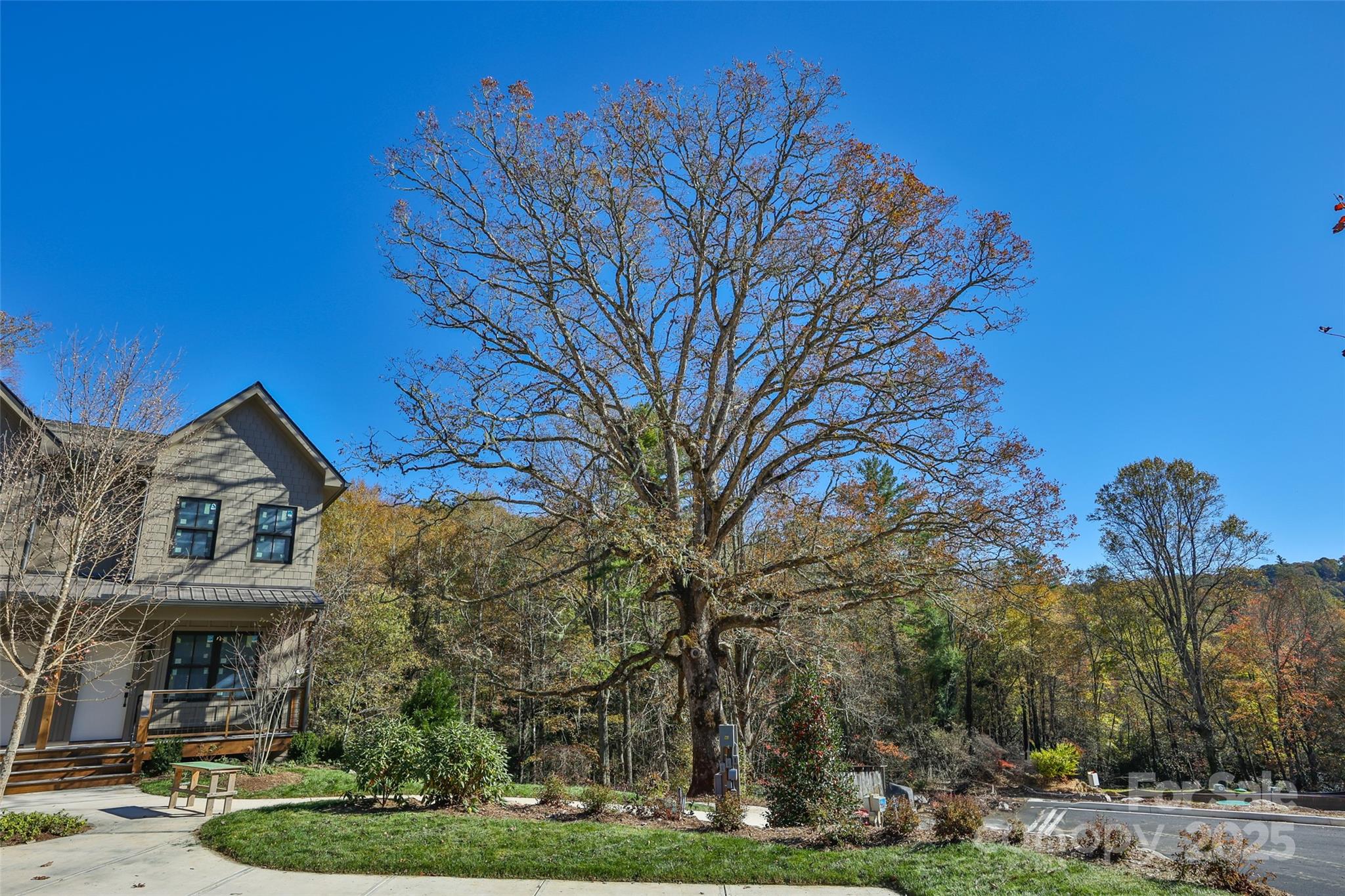 1077 Hicks Road, Unit A Highlands, NC 28741 - Photo 40 of 48