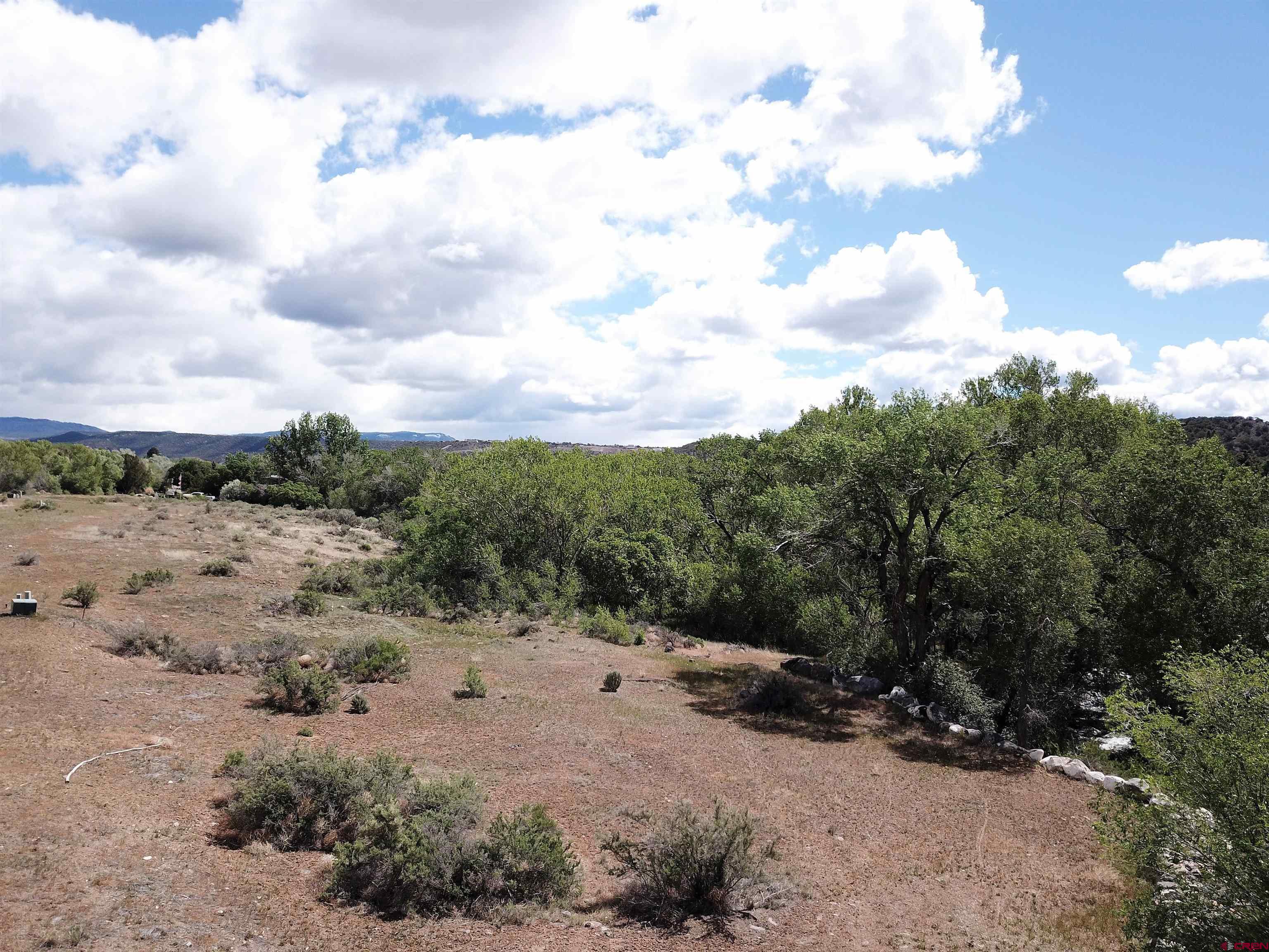 Lot 1 Southeast 3rd Will-o-way Subdivision Cedaredge, CO 81413 - Photo 1 of 11 a view of a dry yard with lots of trees