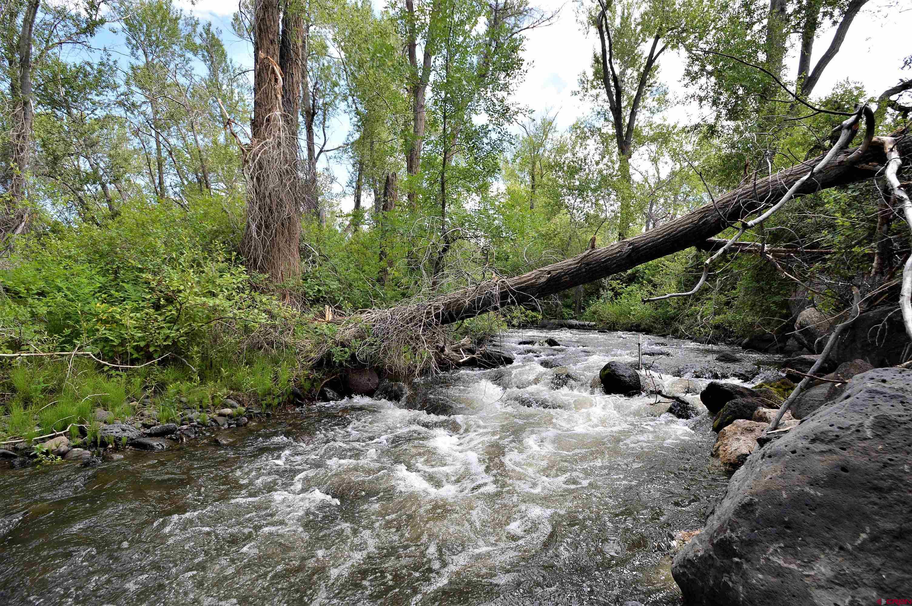 Lot 1 Southeast 3rd Will-o-way Subdivision Cedaredge, CO 81413 - Photo 2 of 11 a view of a forest with trees