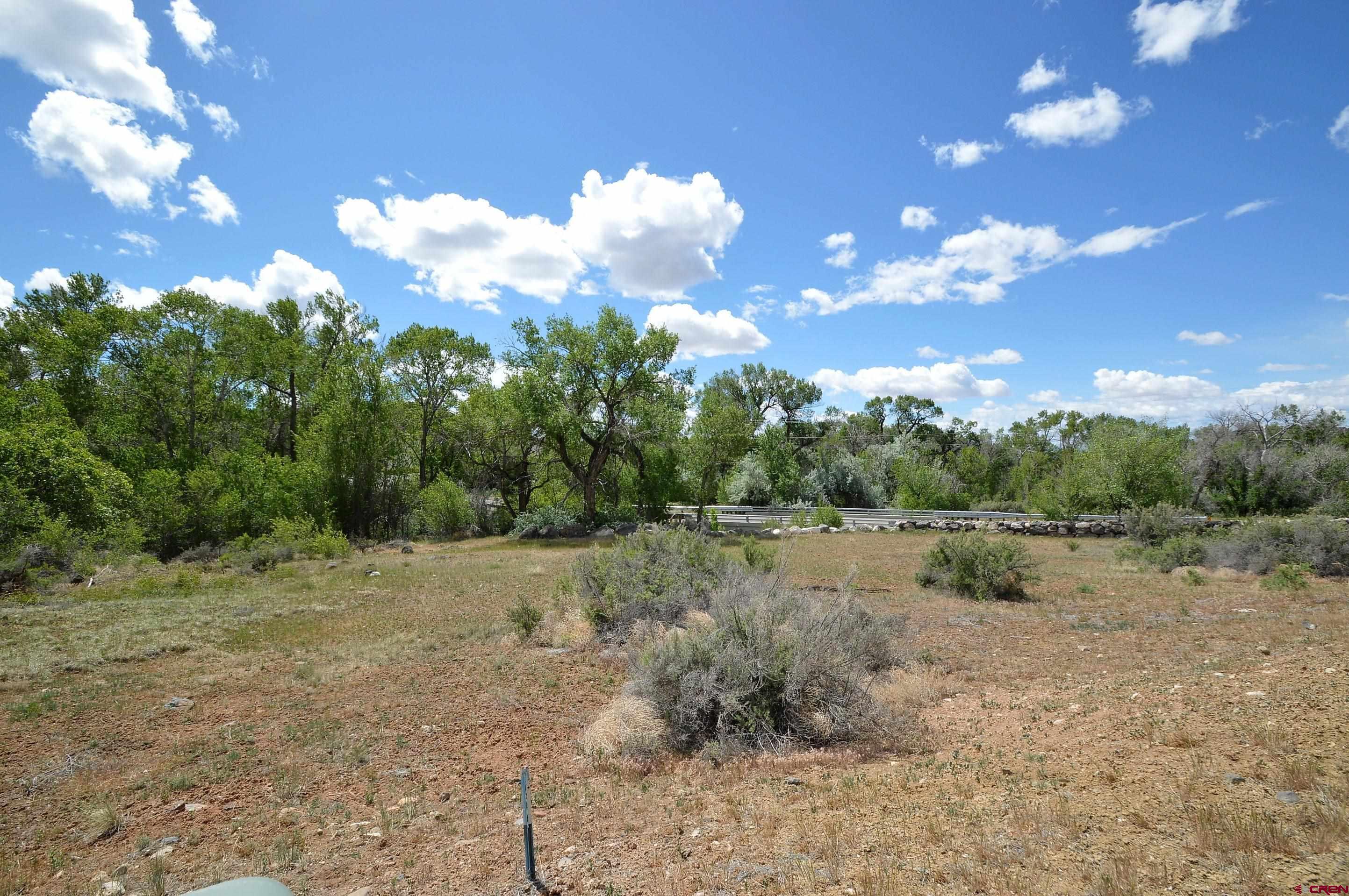 Lot 1 Southeast 3rd Will-o-way Subdivision Cedaredge, CO 81413 - Photo 5 of 11 a view of a yard with a tree