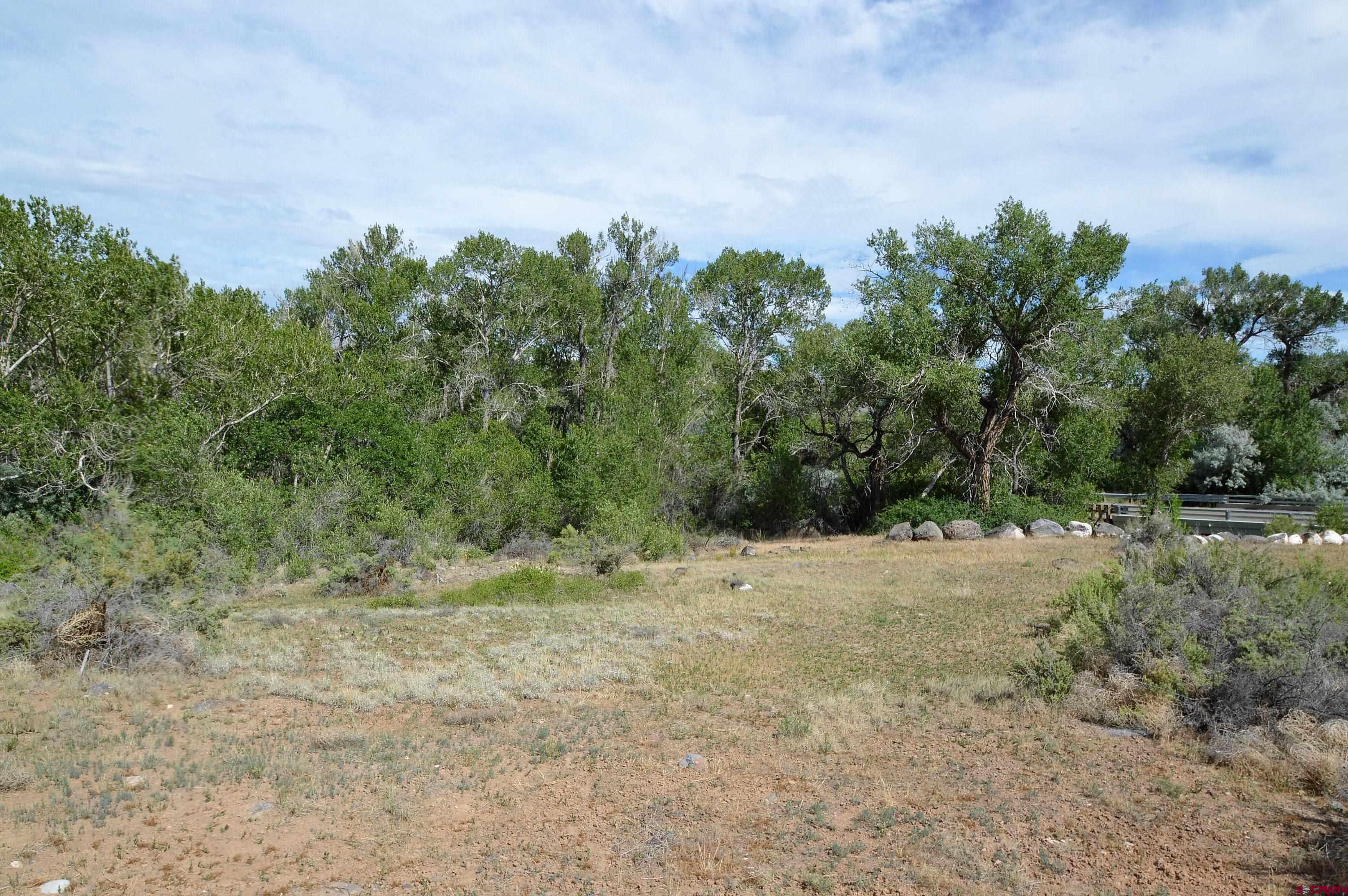 Lot 1 Southeast 3rd Will-o-way Subdivision Cedaredge, CO 81413 - Photo 6 of 11 a view of a yard with a tree