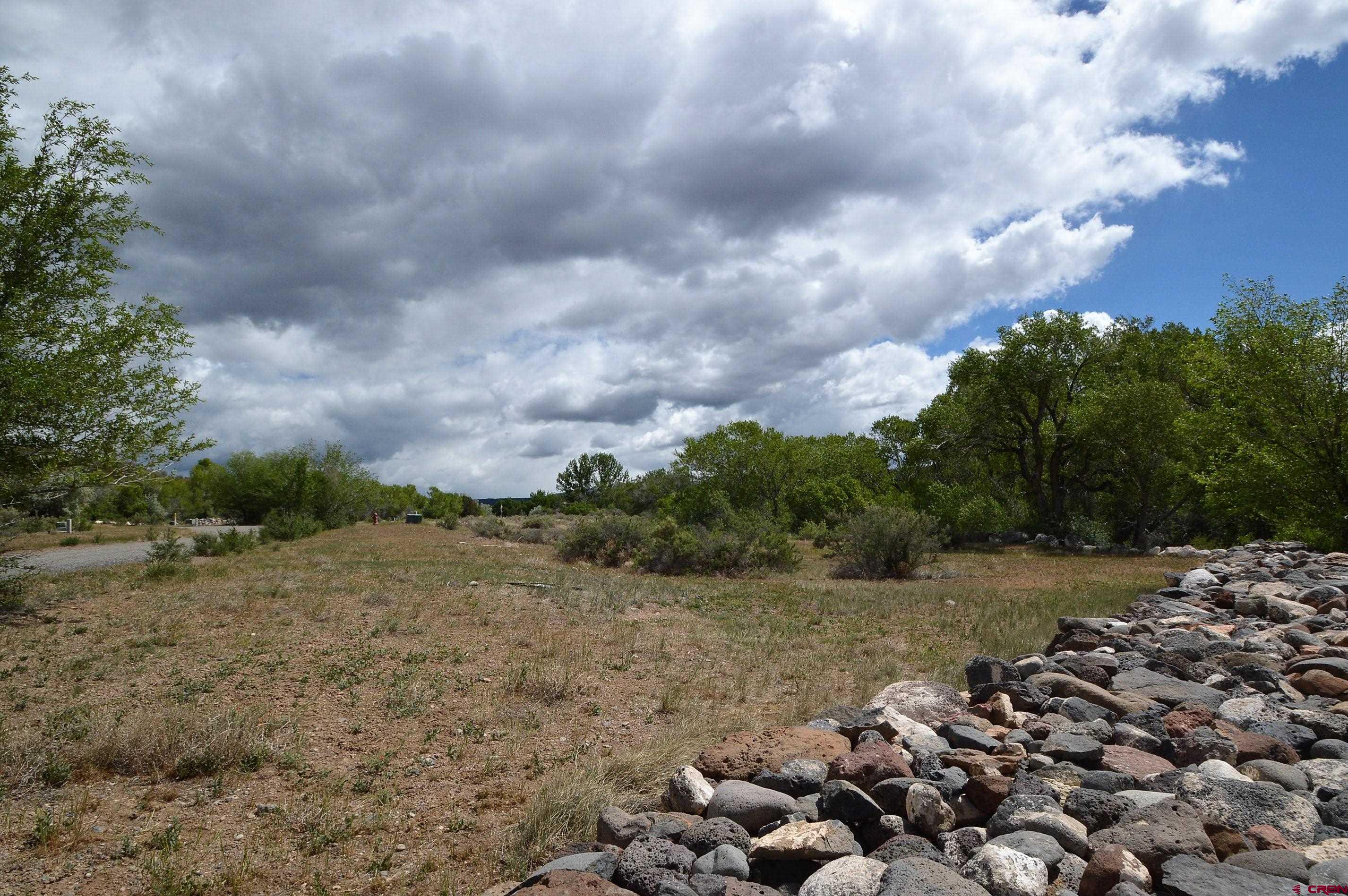 Lot 1 Southeast 3rd Will-o-way Subdivision Cedaredge, CO 81413 - Photo 7 of 11 a view of a dry yard with trees